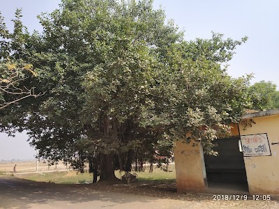 Dhelaichandi Tala