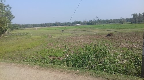 Sreedhara