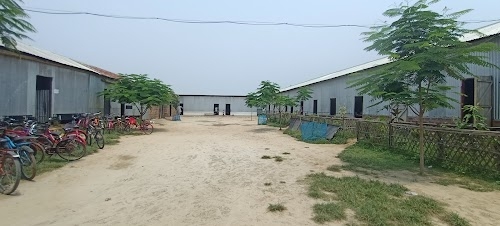 Tazuddin Ahmed Model Academy