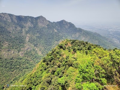 Dolphin Nose Viewpoint