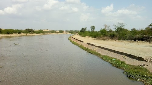Birdhwal