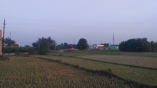BadreAlam Traders