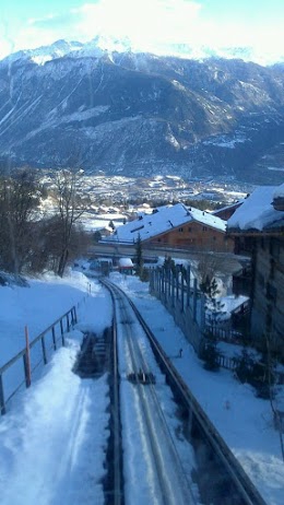 Bluche