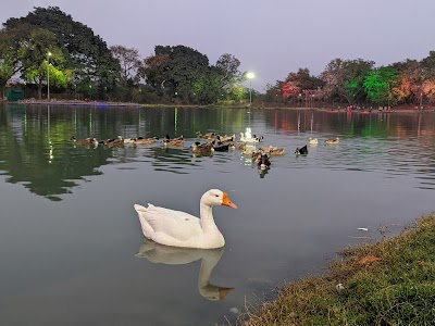 Amnour Pokhra