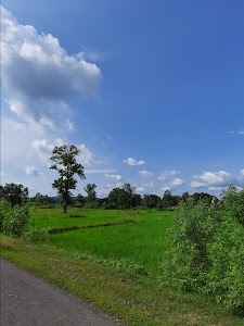 Panchora