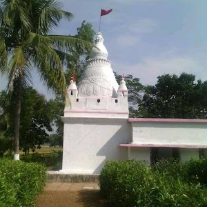 Masarda