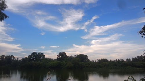 Siddhaur