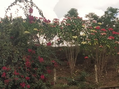 Kohima War Cemenry