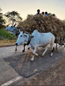 Pondishan