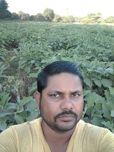 Dighari