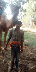 Rajan Raj Company