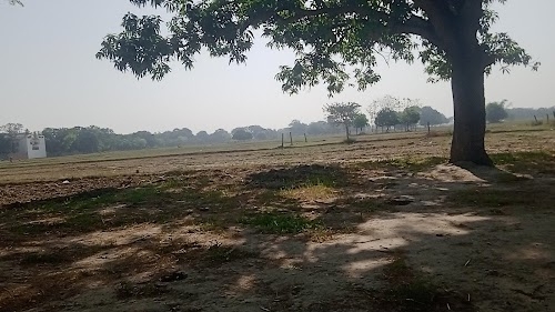 tajpur high school