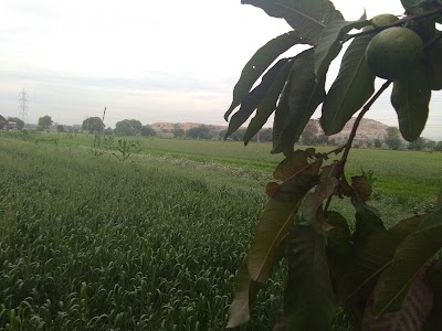 Kumti