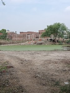 Kushmaura