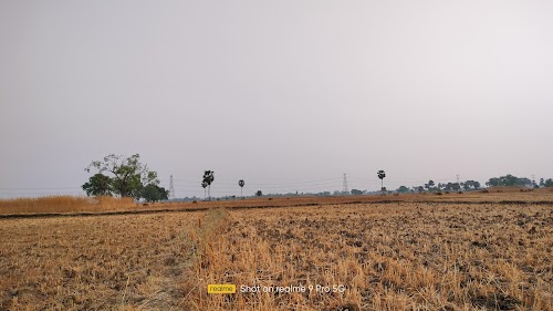Bambhai