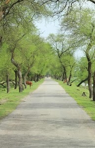 Ludhua