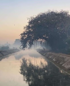 Jakhoda