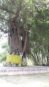 Molnapur