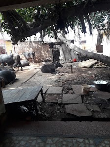 MA VESHNO DEVI OR SHIV MANDIR