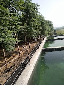 Dungrani Devaliya