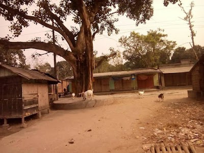 Arunbari