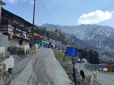 Jadi
