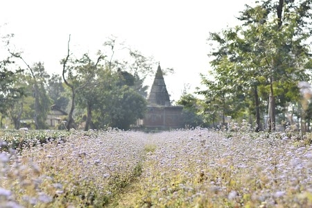 Nakachari