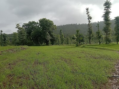 Bardipada