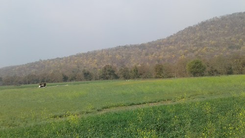 Satrana