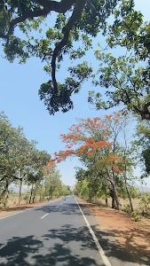 Chatra