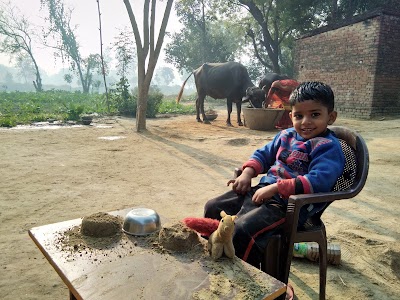 Mela