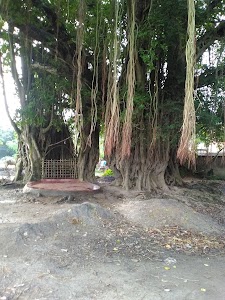 Sibtala Namupara