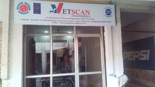 Vetscan Diagnostics
