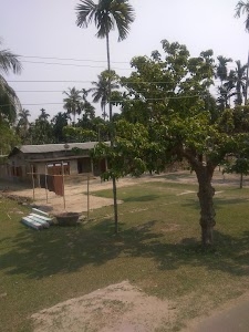 Kaliabor