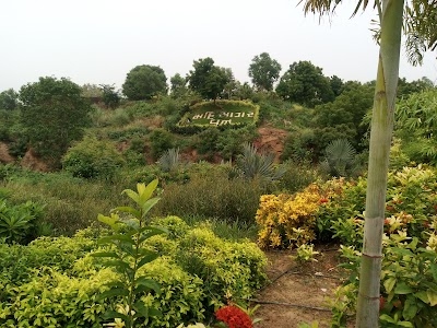 Mahisagar Van Vehrakhadi