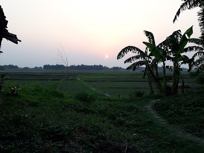 Narkatia