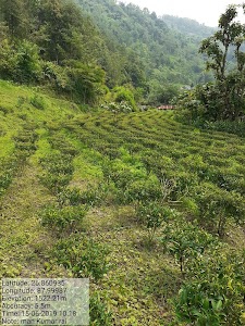 Laxmipura