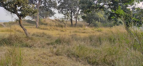 Hardwari