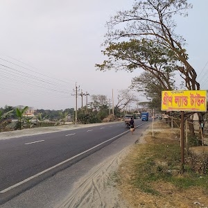 Green Land Town Development Ltd