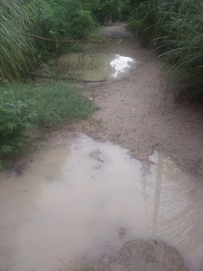 Barhni Chafa