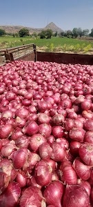 Samadhan farm