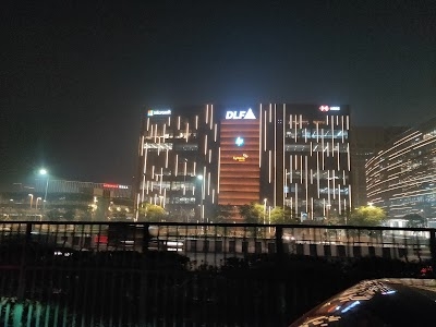 DLF