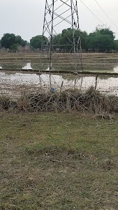 Mohanganj