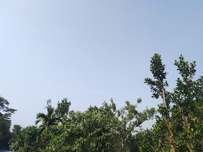 Belbari