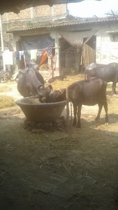 Pathrahi