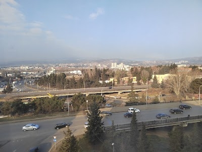 Hotel Shine Palace