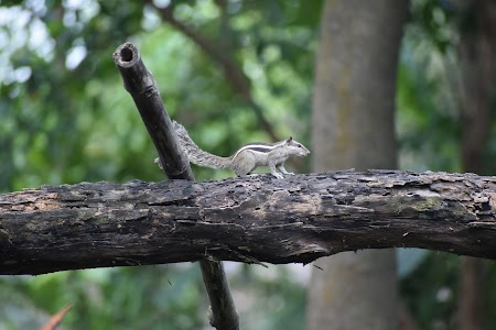 Aman Pandit Photography Studio
