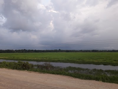 Majir Gaon