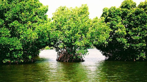 gholidaytours