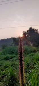 Vadgaon